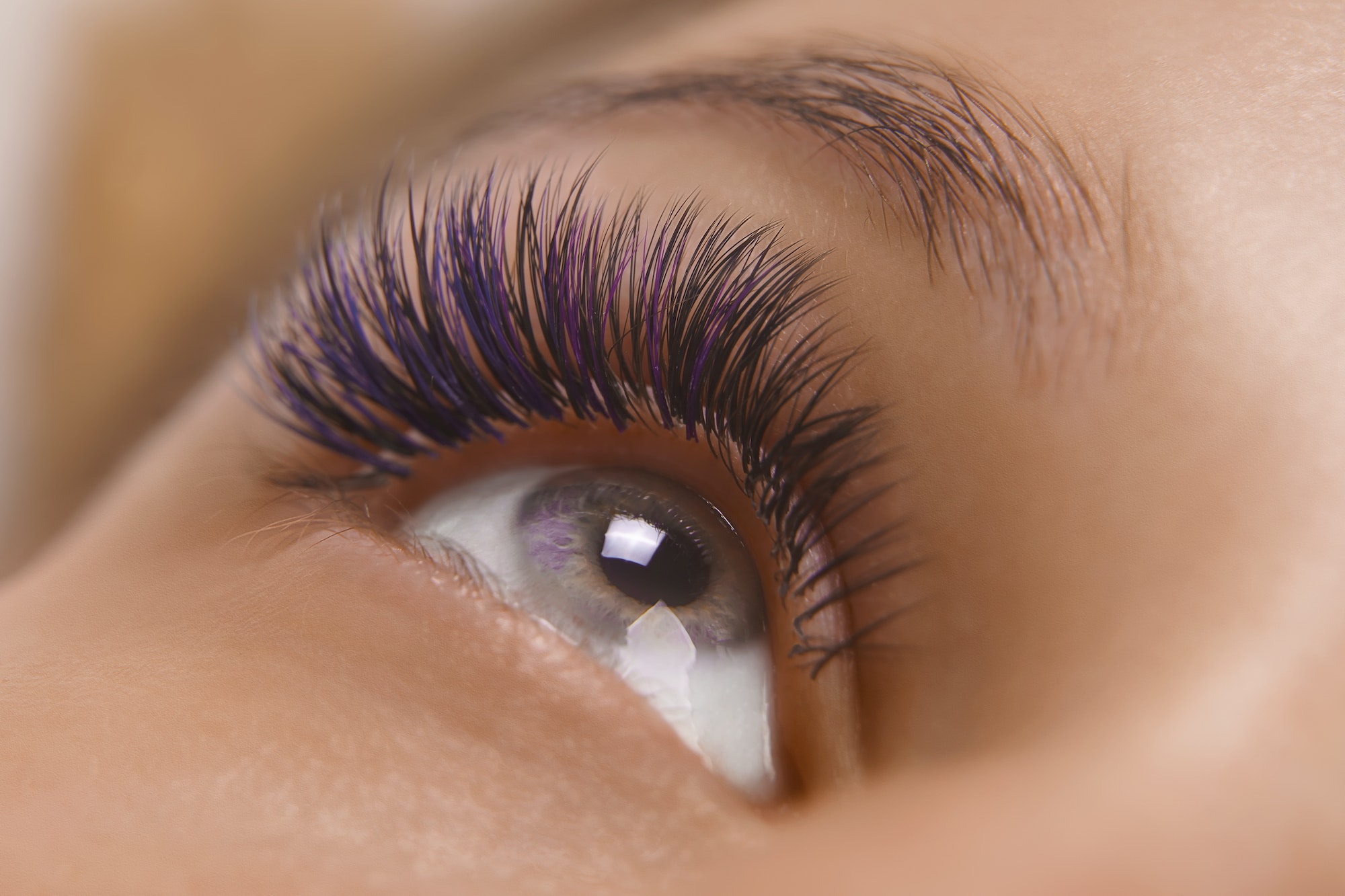 Eyelash Extension Procedure. Close up view of beautiful female eye with long eyelashes, smooth